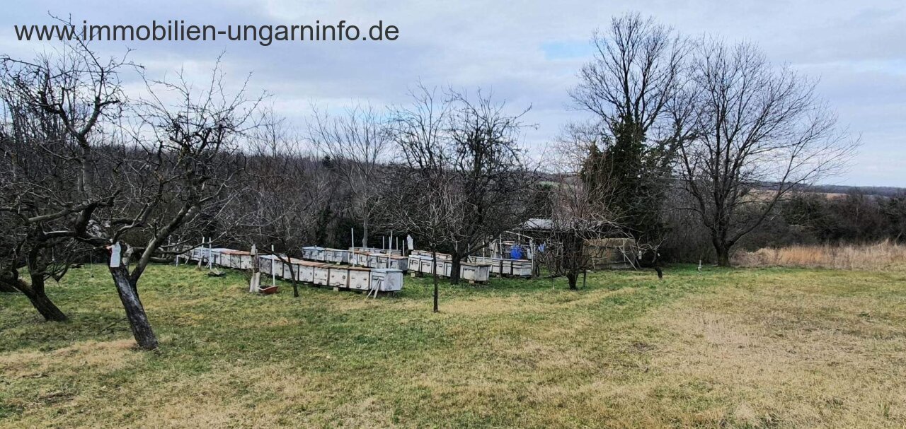 Somogy Vármegye: Grundstück in den Weinbergen von Marcali zu verkaufen 