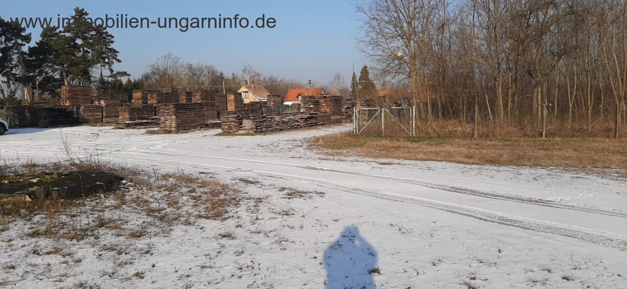 &nbsp;