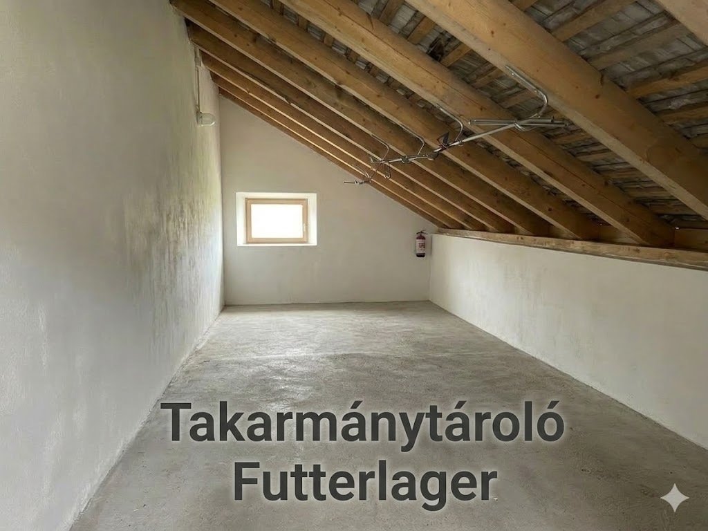 &nbsp;