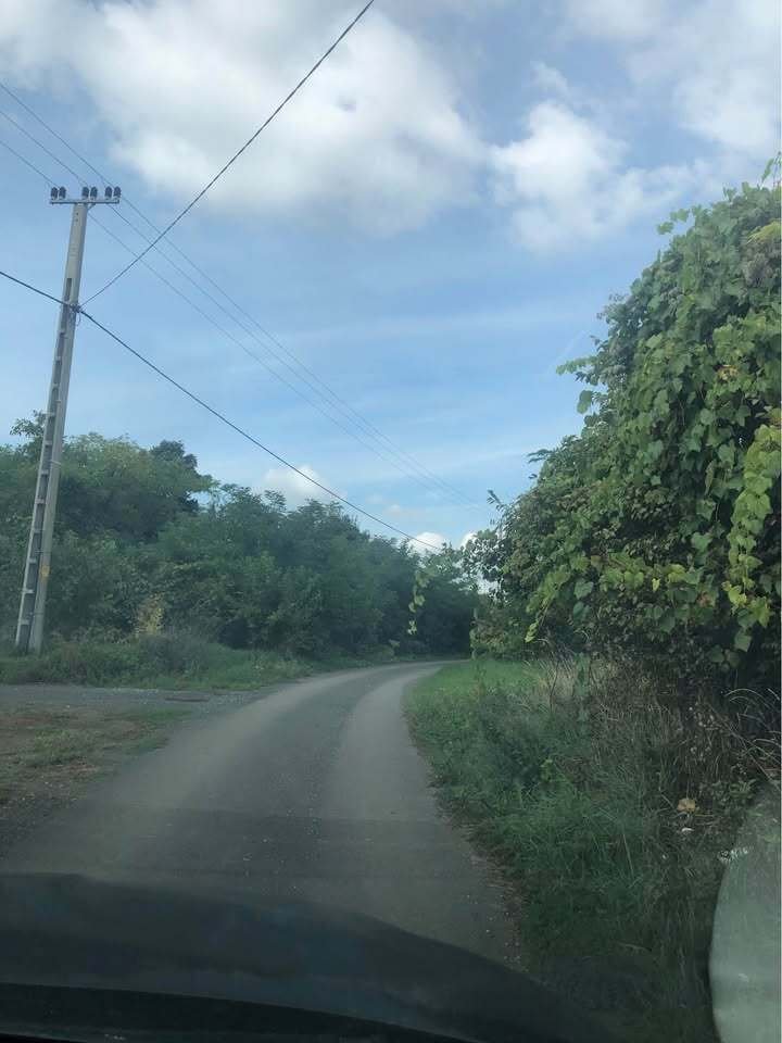 &nbsp;