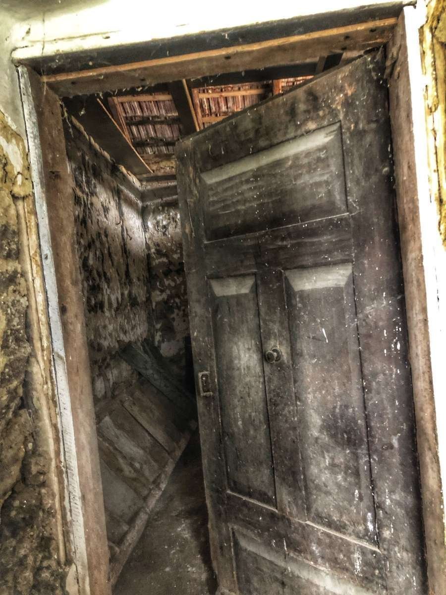 &nbsp;
