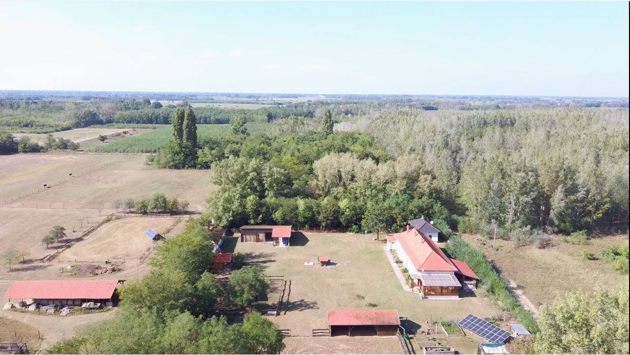 Kaskantyu: Hof mit 3 Wohnhäusern und Nebengebäuden sowie 8,3 ha Land Kaskantyu: Hof mit 3 Wohnhäusern und Nebengebäuden sowie 8,3 ha Land