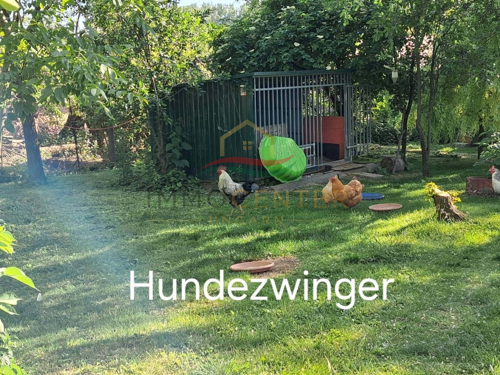 &nbsp;