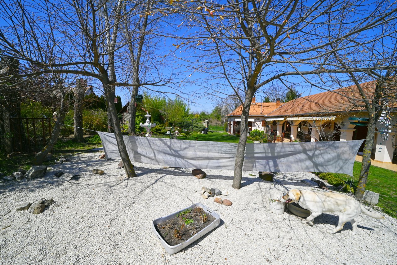 bei Karad: (BAB) Wunderschönes ungarisches Landhaus mit großem Grundstück und Pferdeboxen bei Karad: (BAB) Wunderschönes ungarisches Landhaus mit großem Grundstück und Pferdeboxen