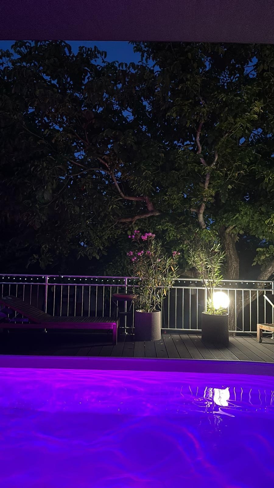 &nbsp;