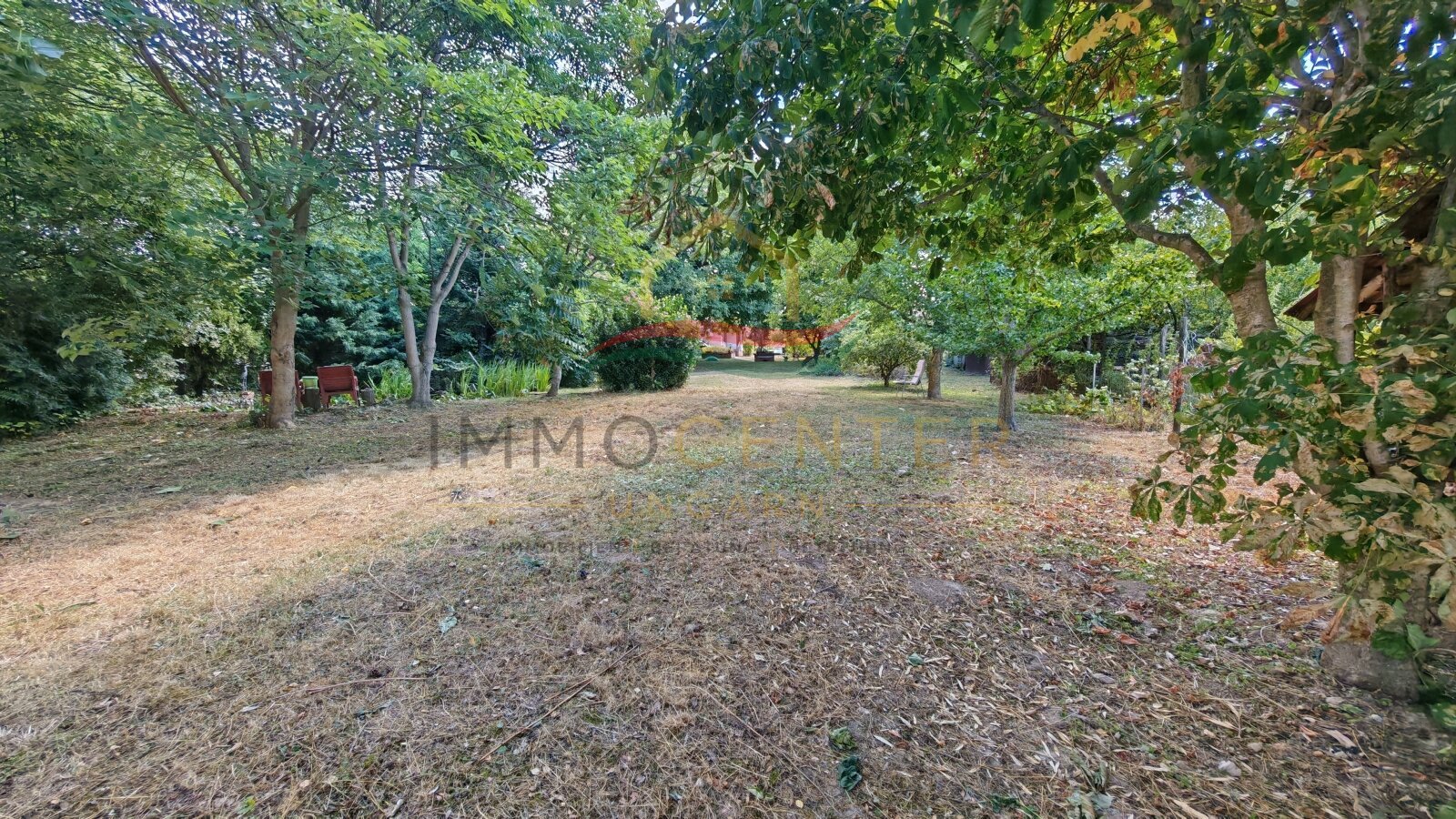 &nbsp;