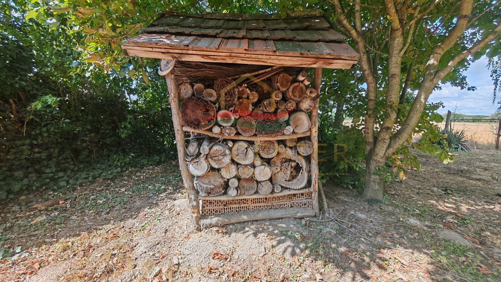 &nbsp;