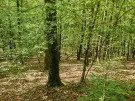 &nbsp;