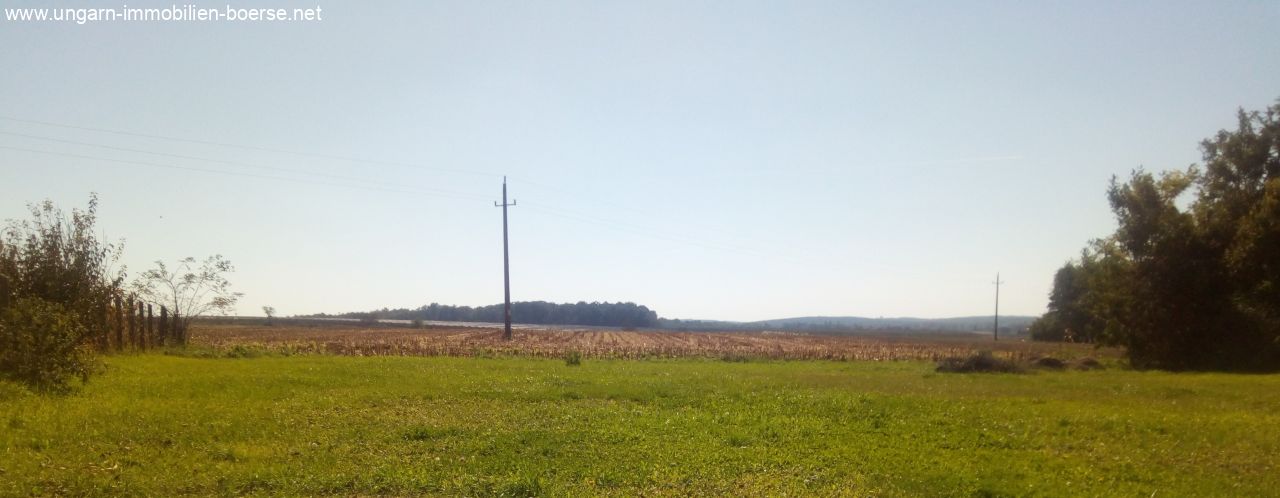 Ausblick auf Felder