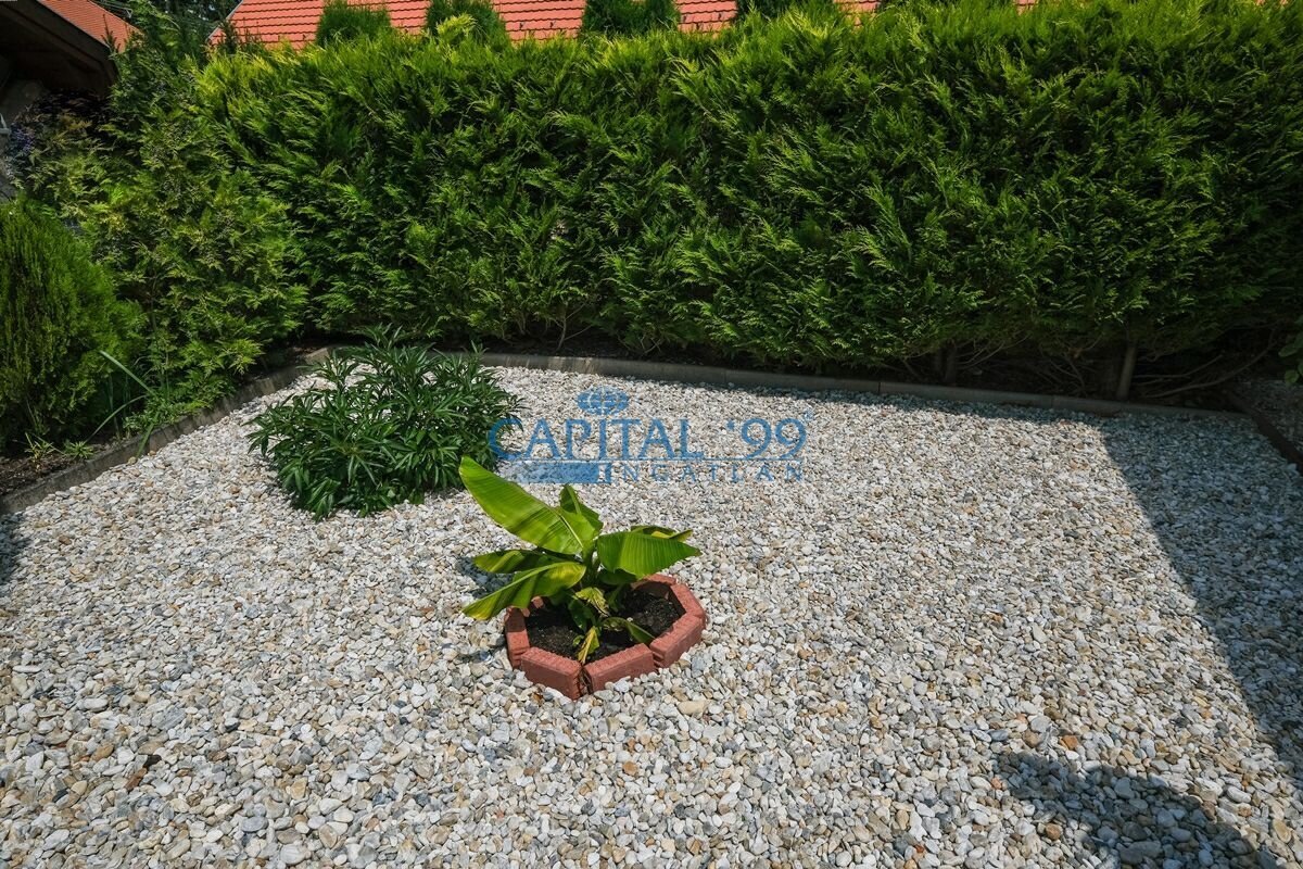 DSCF1298
