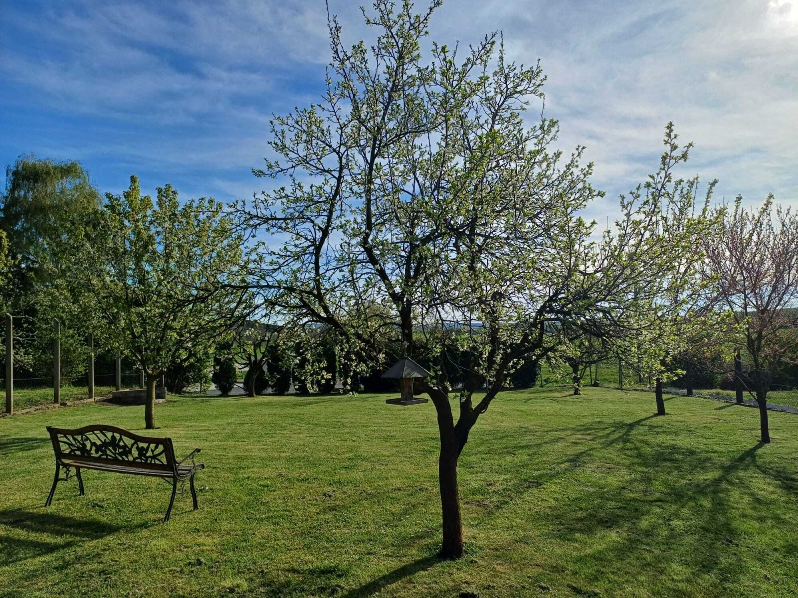 Weitläufiger Garten mit Obstbäumen - Ihr privates Naturparadies zum Entspannen!