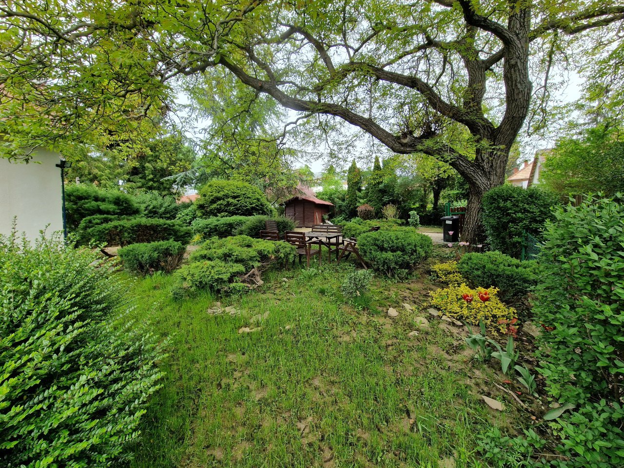 Idyllische Gartenoase mit uraltem Baum und gemütlicher Holzhütte - Ihr persönliches Rückzugsparadies!