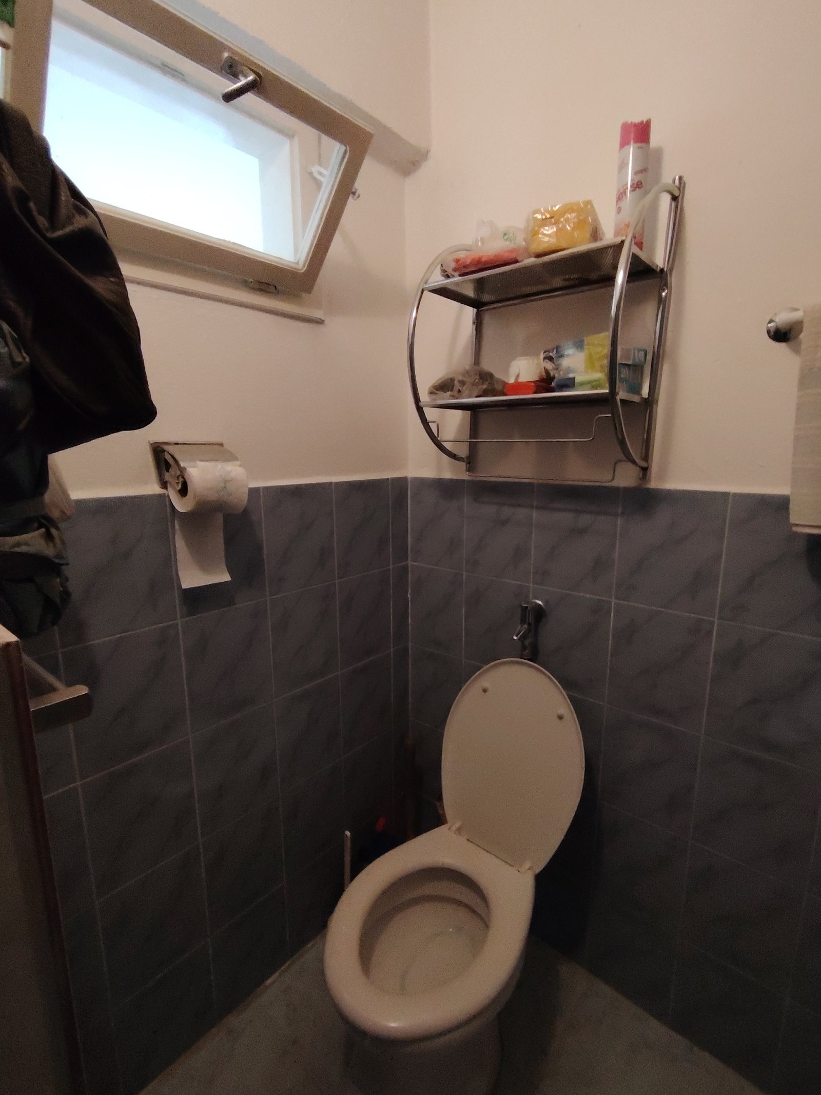 Lichtdurchflutetes Gäste-WC mit praktischem Wandregal und elegantem Fliesenspiegel