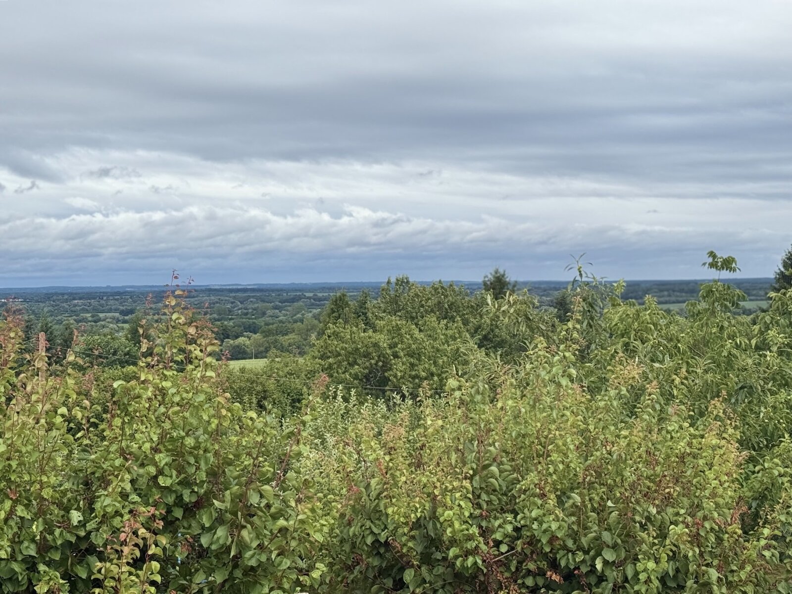 Aussicht