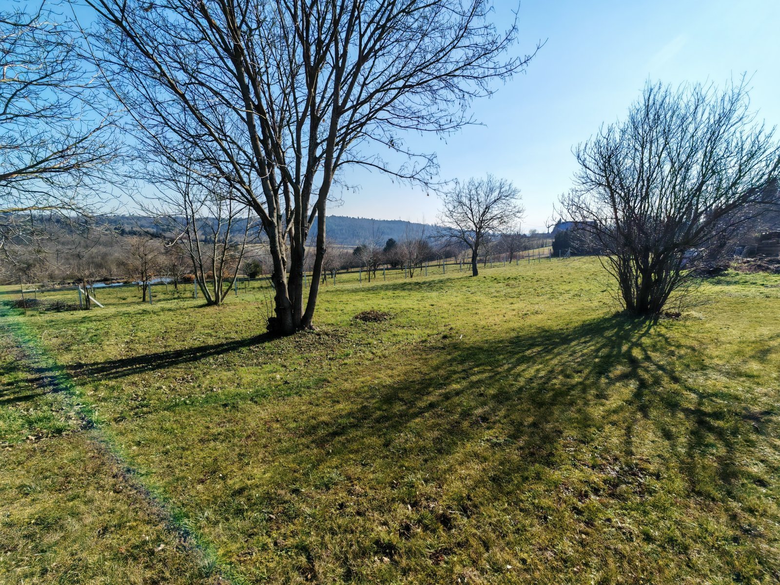 Baugrundstück mit Weitblick - Naturparadies zum Selbstgestalten!