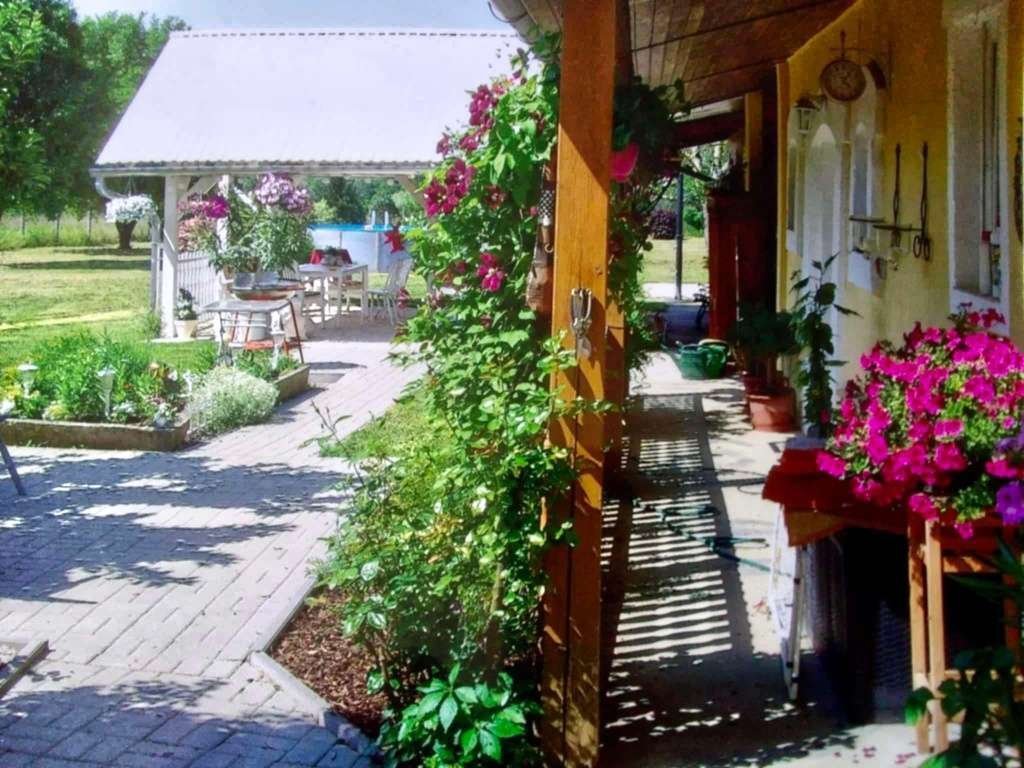 Mediterrane Wohlfühloase: Großzügige Terrasse mit durchdachter Wegeführung und natürlichen Blumenakzenten