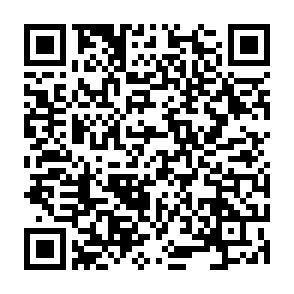 QR-Code QR-Code