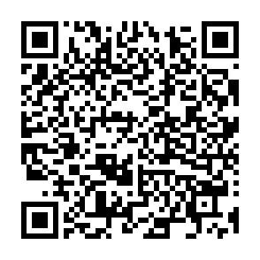 QR-Code QR-Code