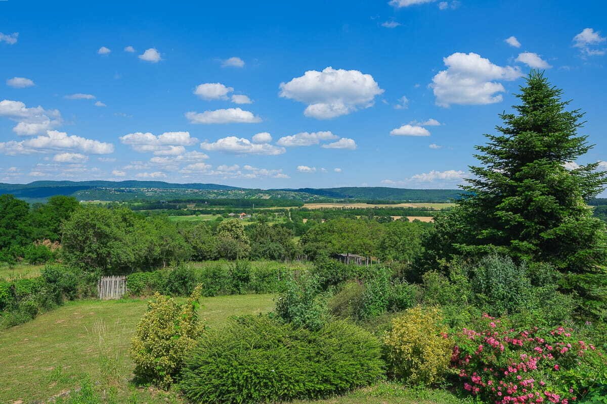DSCF6928 2 DSCF6928 2