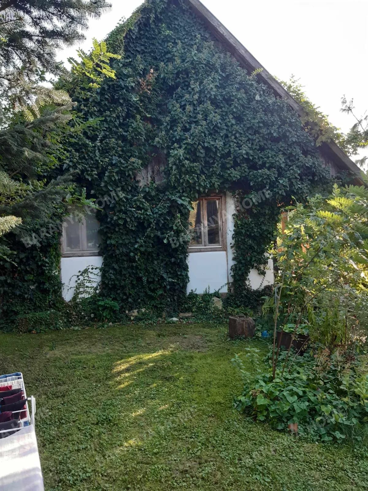 Bild 17 Bild 17