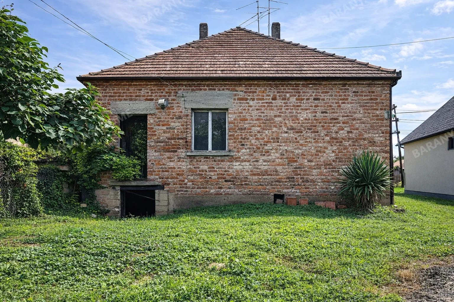 Bild 12