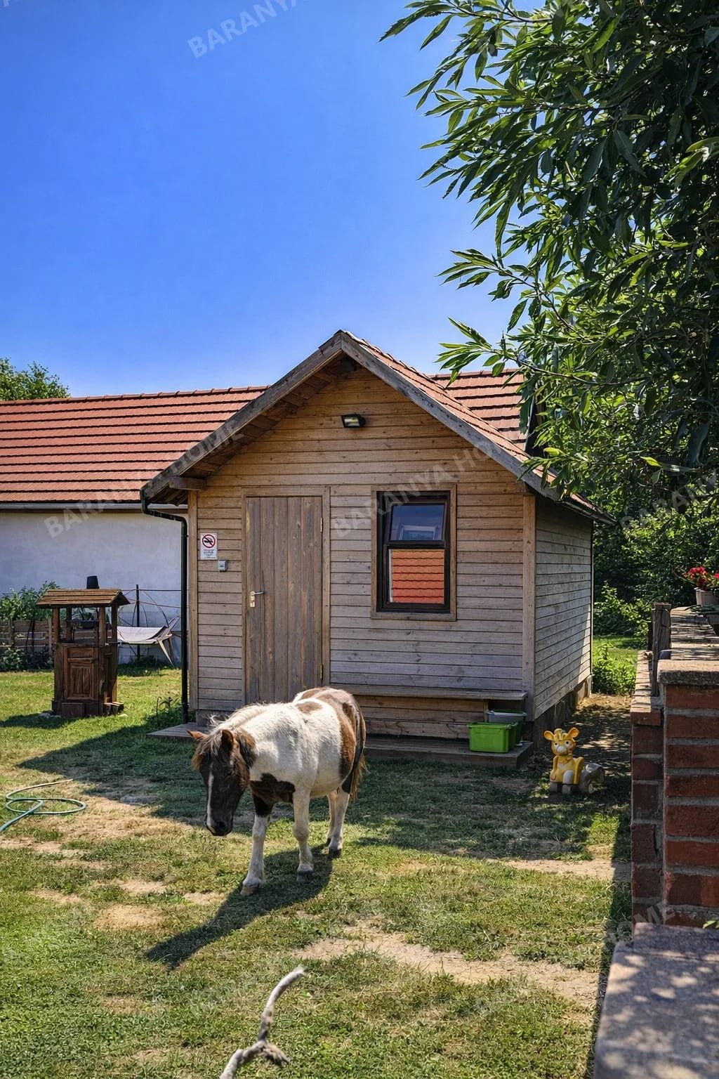 Bild 5 Bild 5