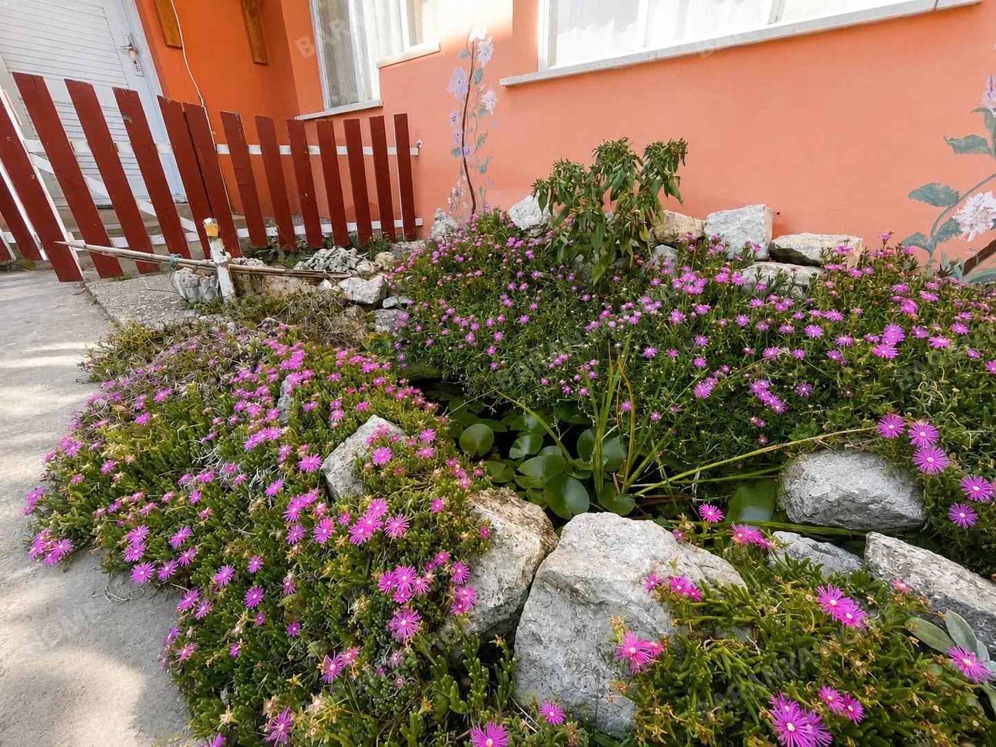 Bild 15 Bild 15