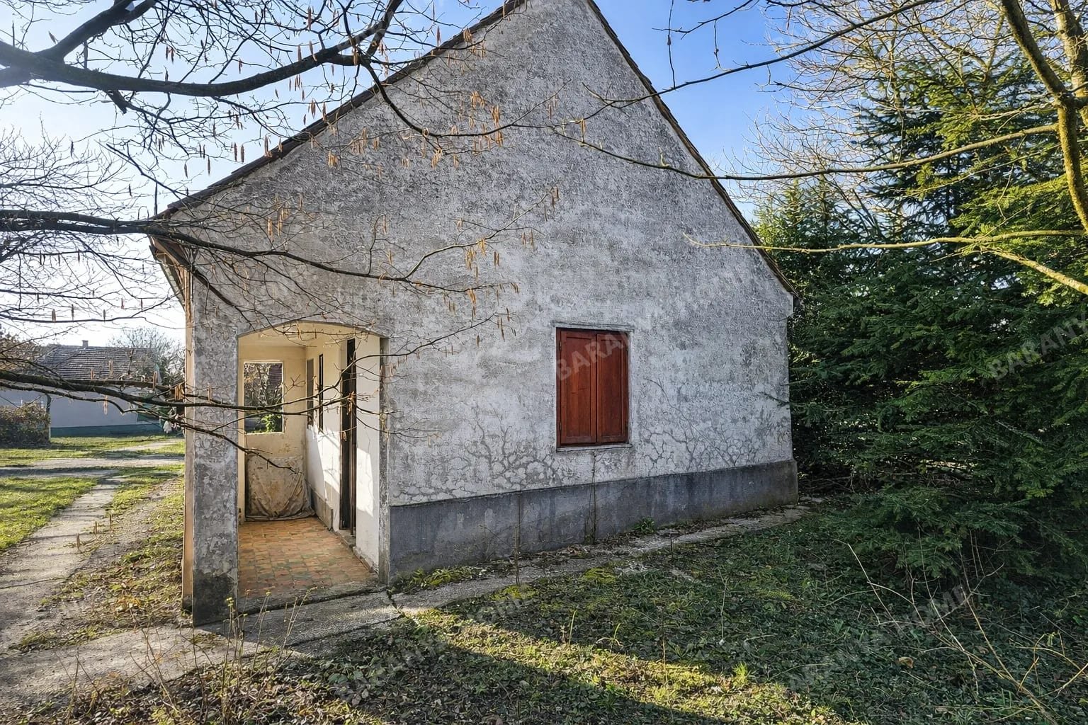 Bild 5 Bild 5