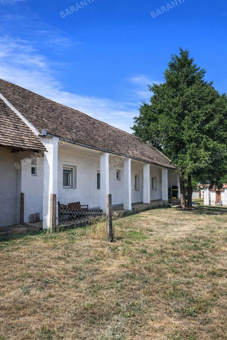 Bild 4 Bild 4