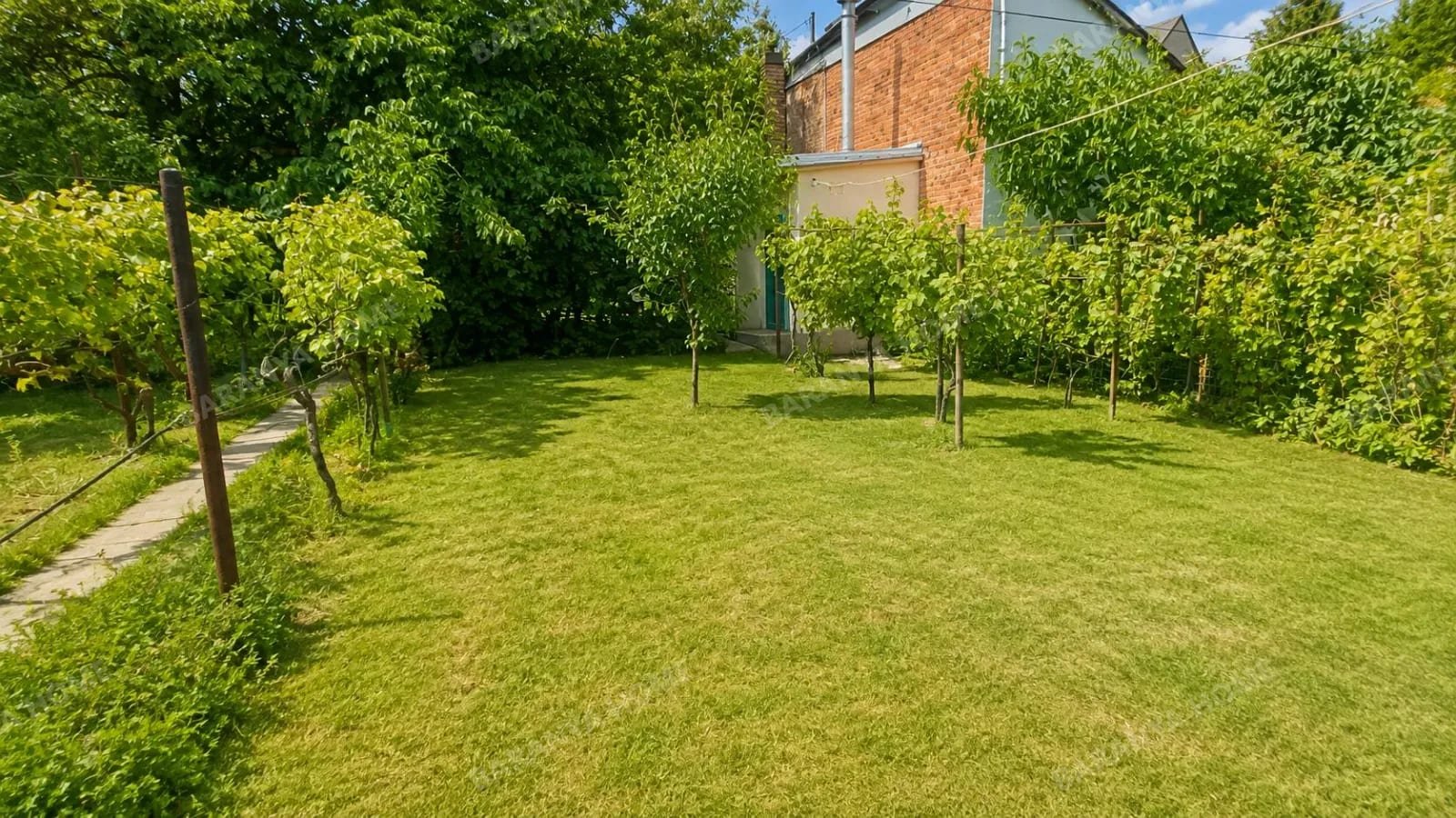 Bild 13 Bild 13