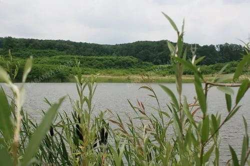 Pécs: Angelsee und Entwicklungsgebiet zum Verkauf in der Nähe von Pécs – Außergewöhnliche Investitionsmöglichkeit im Herzen von Mecsek Pécs: Angelsee und Entwicklungsgebiet zum Verkauf in der Nähe von Pécs – Außergewöhnliche Investitionsmöglichkeit im Herzen von Mecsek