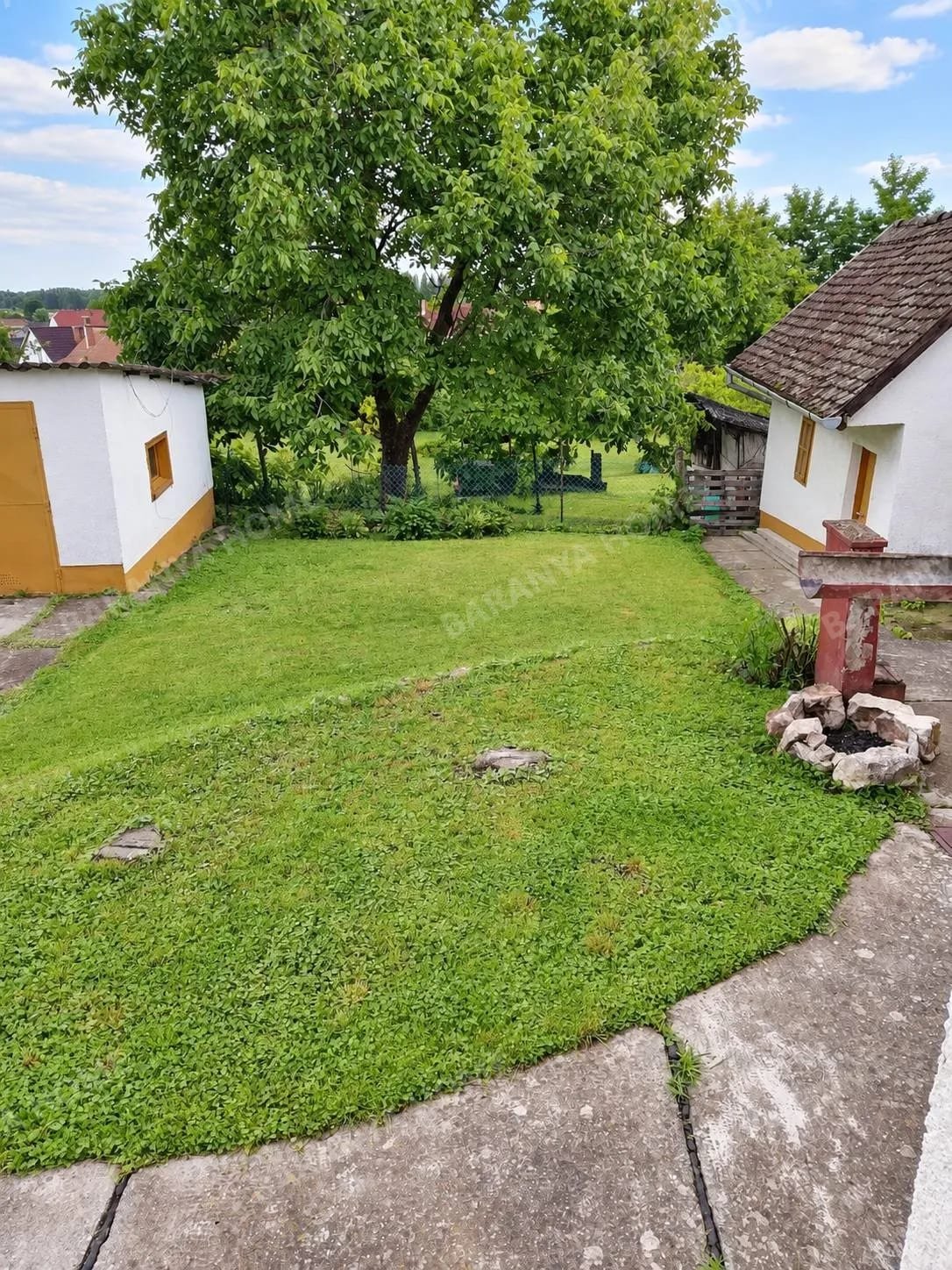 Bild 5 Bild 5