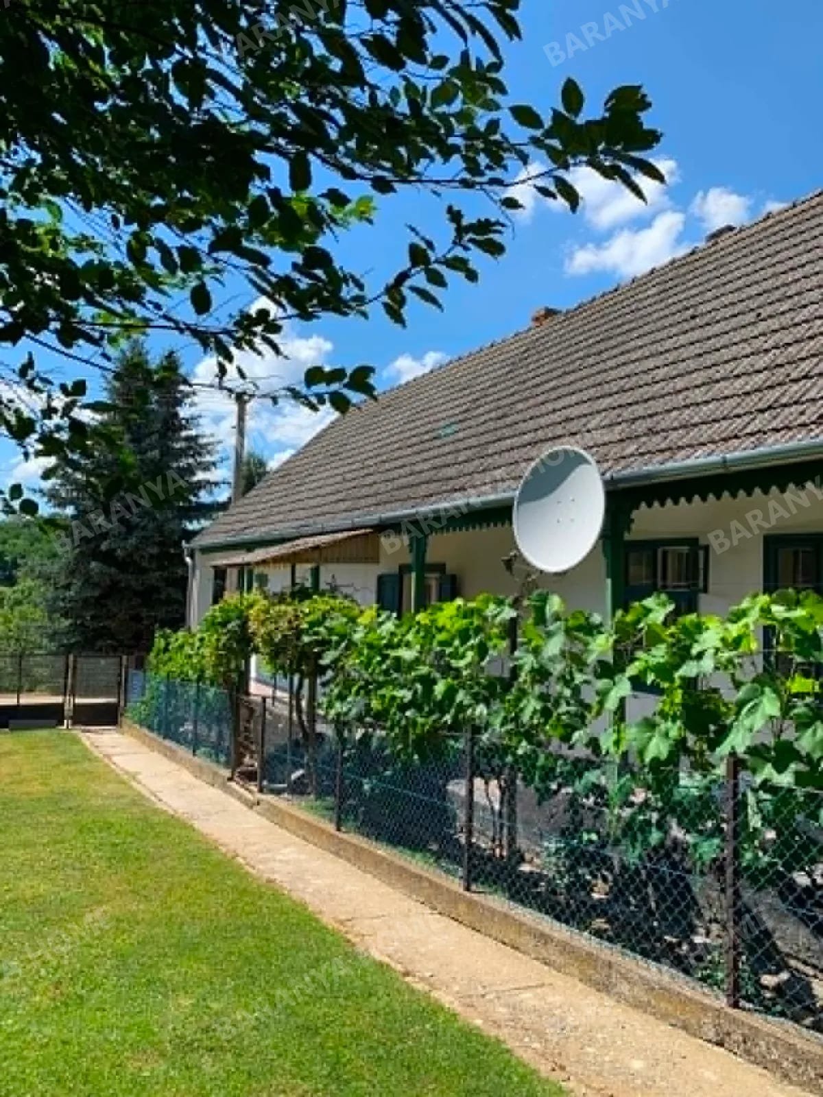 Bild 13