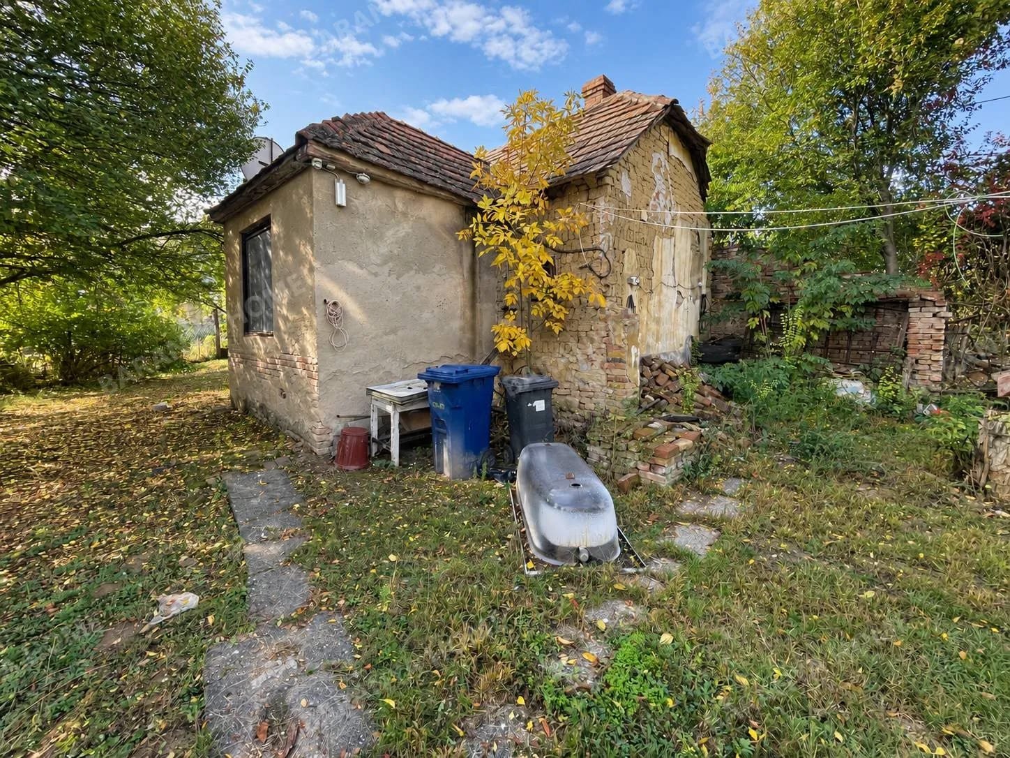 Bild 1 Bild 1