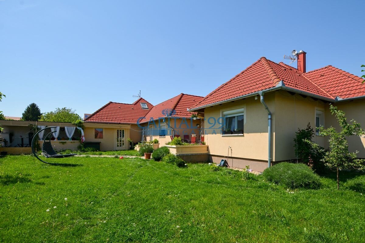 DSC 0649