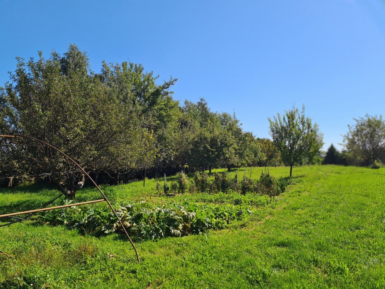 photo -- -- photo -- --