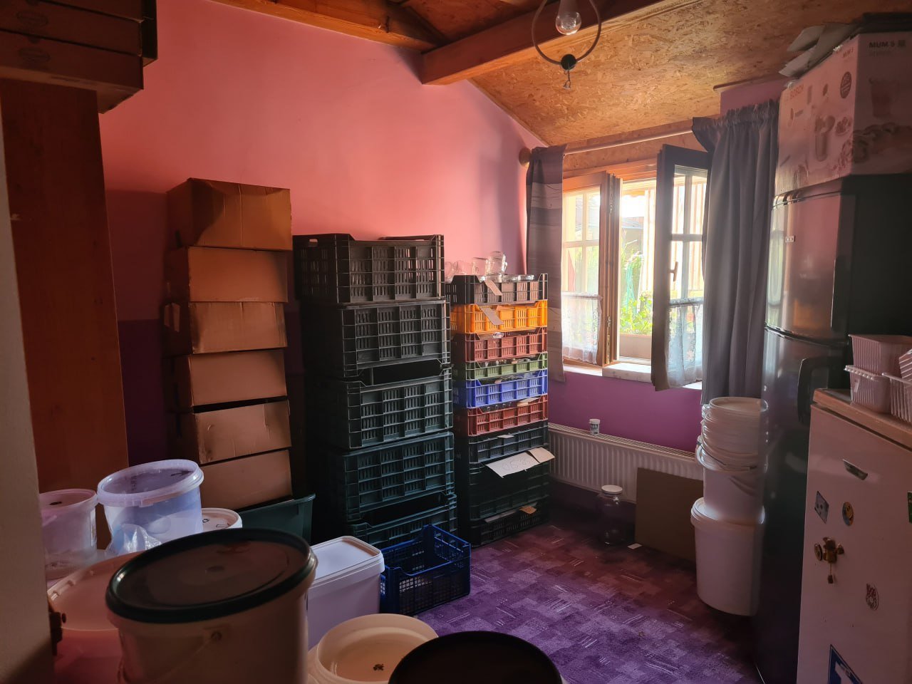 photo -- -- photo -- --