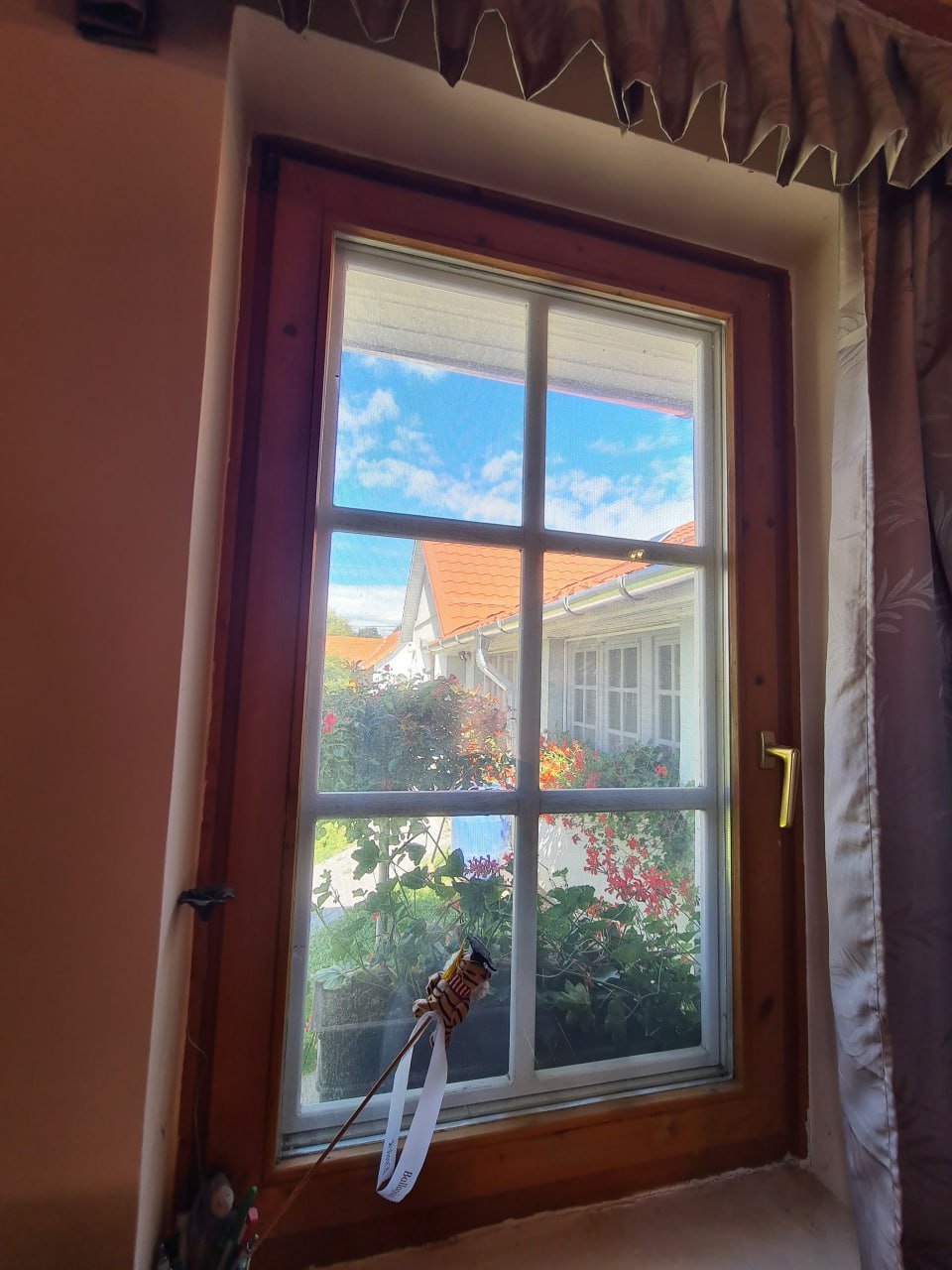 photo -- -- photo -- --