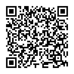 QR-Code QR-Code