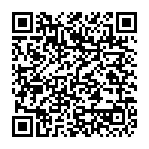 QR-Code QR-Code