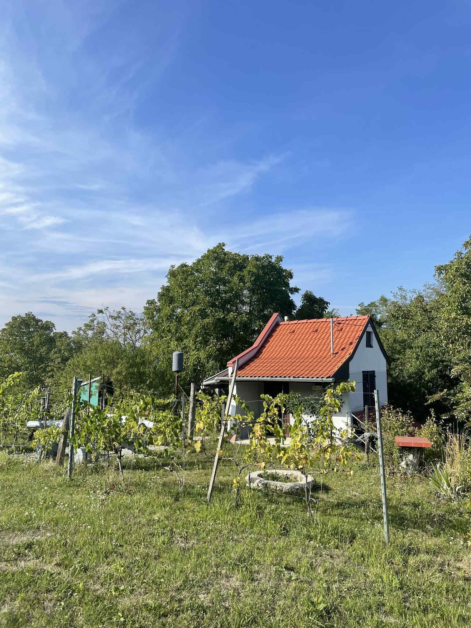 Zalaistvánd: Pinze szőlőskert panorámás kilátással 