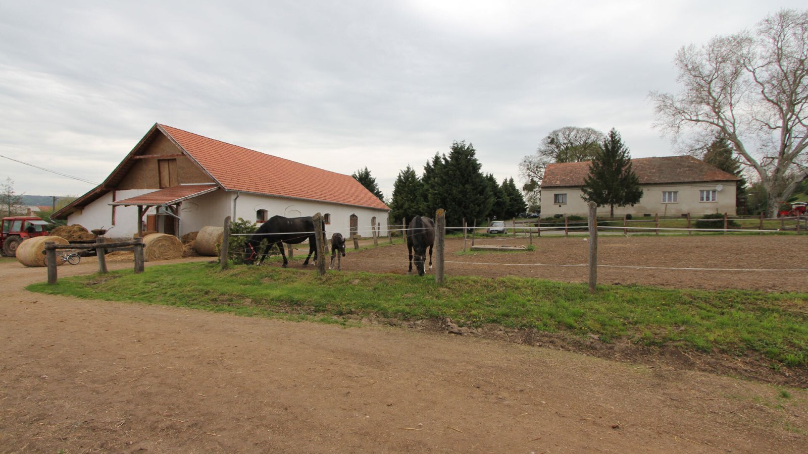bei Héviz: Lóistálló edzőtérrel és nagy ingatlannal Hévíz közelében 