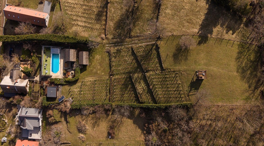&nbsp;
