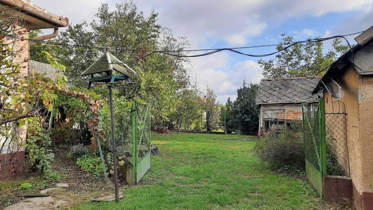 Weitläufiger Garten mit etabliertem Baumbestand und vielfältigen Nutzungsbereichen Weitläufiger Garten mit etabliertem Baumbestand und vielfältigen Nutzungsbereichen
