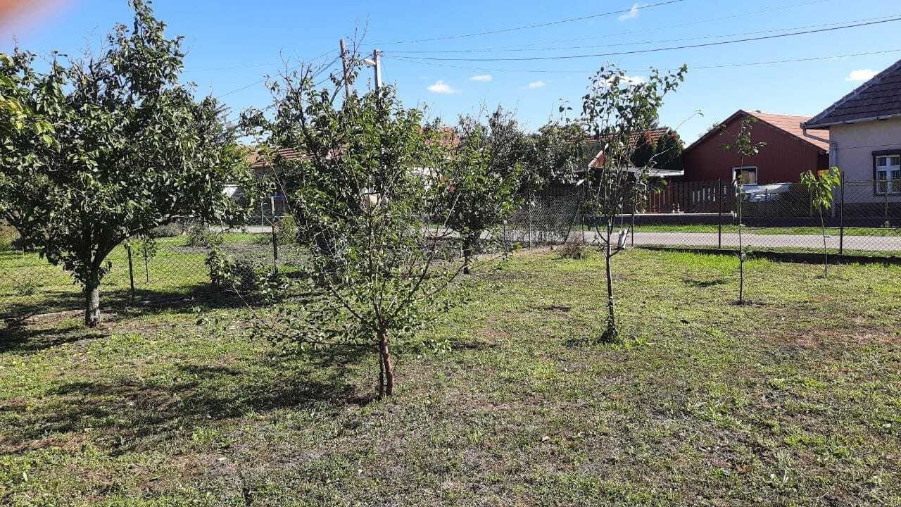 Obstgarten mit etabliertem Baumbestand und vielfältigen Anbaumöglichkeiten Obstgarten mit etabliertem Baumbestand und vielfältigen Anbaumöglichkeiten