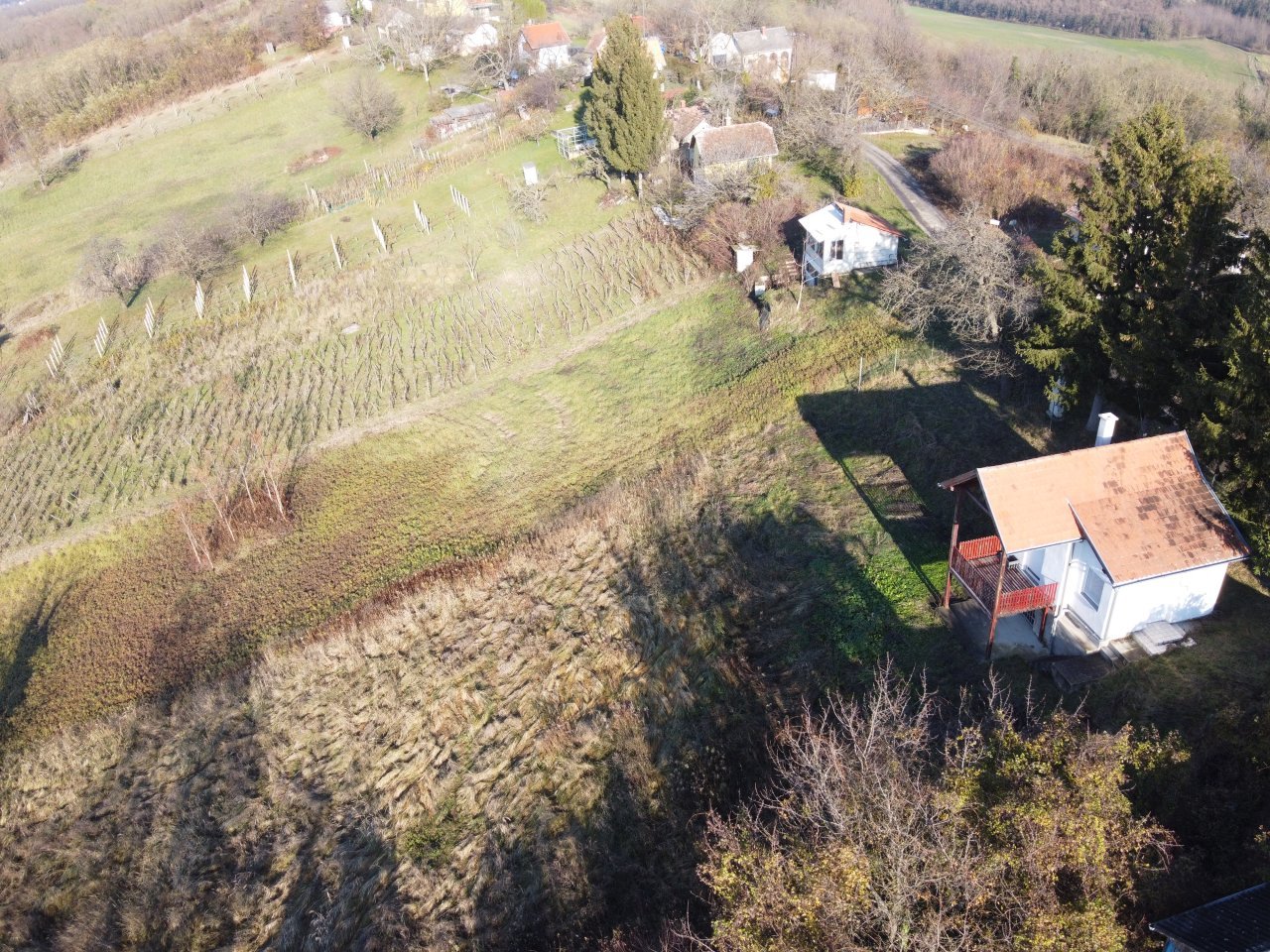 DJI DJI