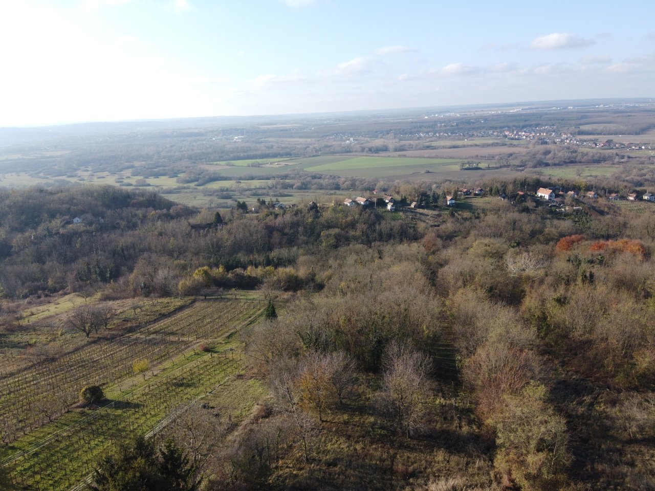 DJI DJI