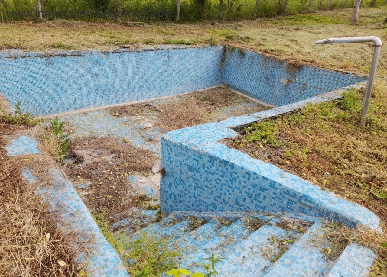 &nbsp;