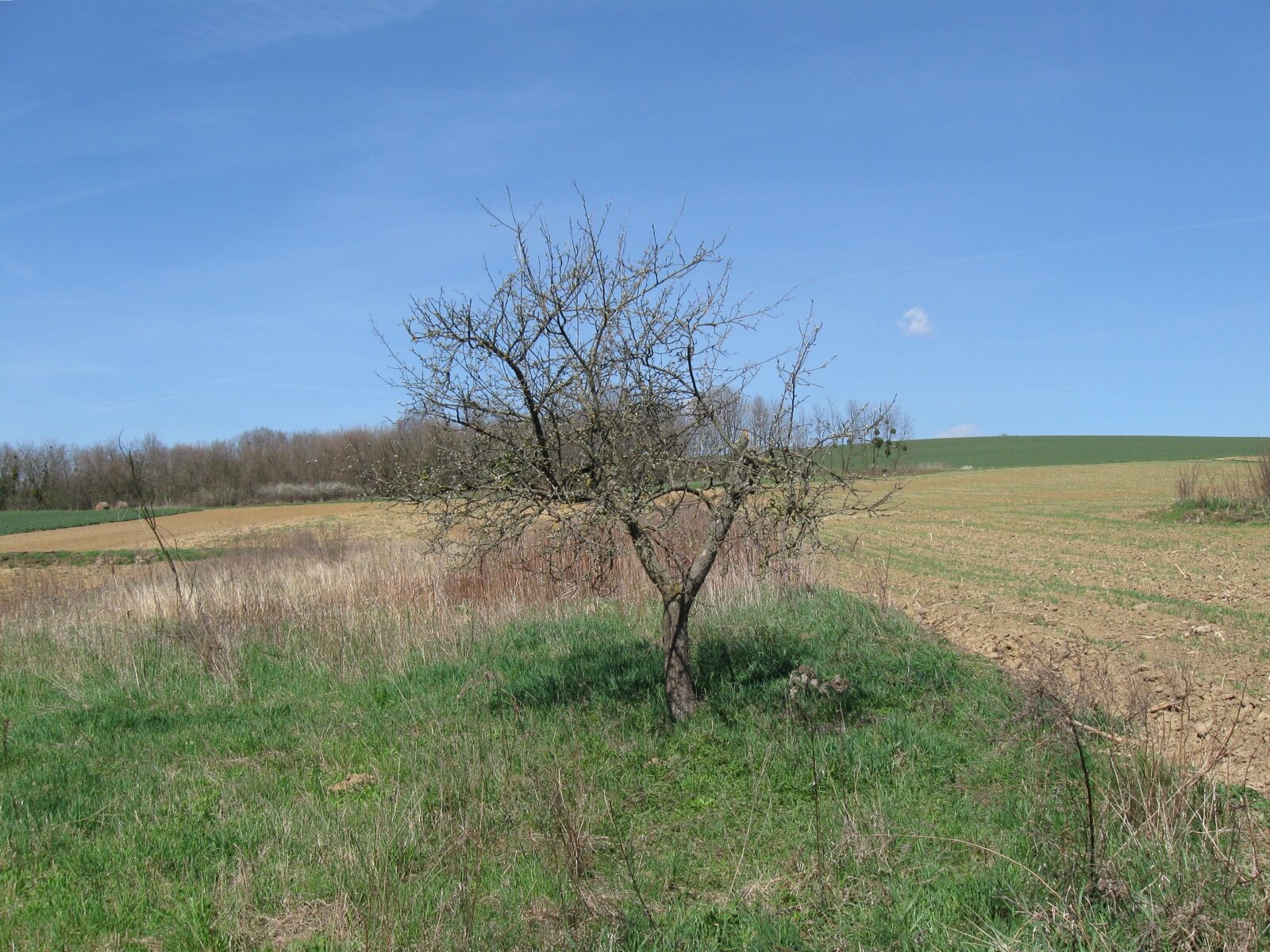 &nbsp;