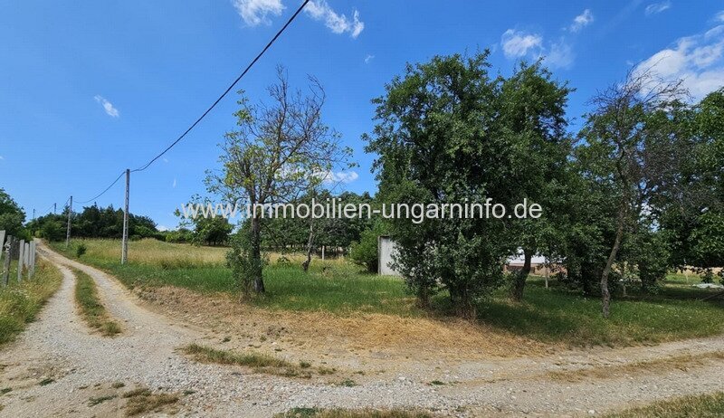 Somogy Vármegye: In Marcali Weinberg (12 km vom Plattensee) geschlossene Garten zu verkaufen Somogy Vármegye: In Marcali Weinberg (12 km vom Plattensee) geschlossene Garten zu verkaufen